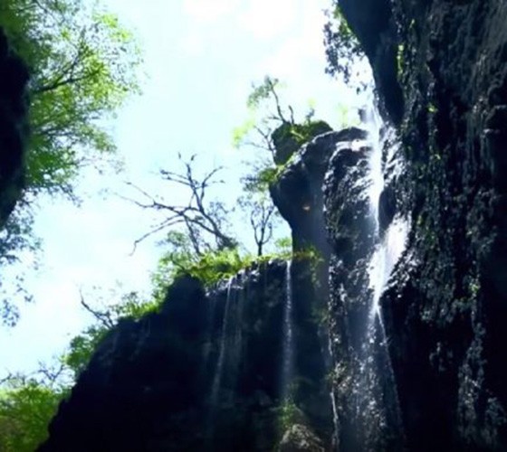 青山綠水，白龍江畔江畔息白鷺，兩岸綠橄欖入眼的都是純樸自然枝上花開(kāi)，春來(lái)水暖魚(yú)蝦戲水，鳥(niǎo)語(yǔ)花香心中充滿(mǎn)著舒暢之感祥宇生態(tài)產(chǎn)業(yè)園，位于隴南市武..